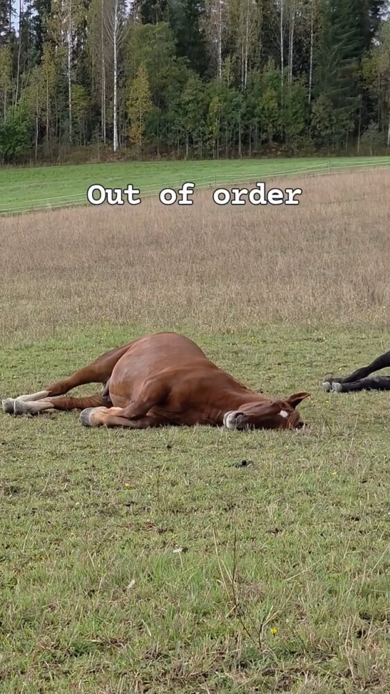 Featured image for “Out of order”