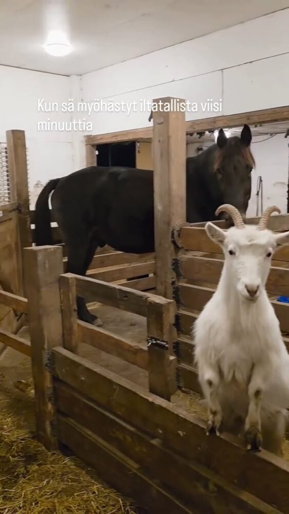 Featured image for “Ei parane myöhästyä”