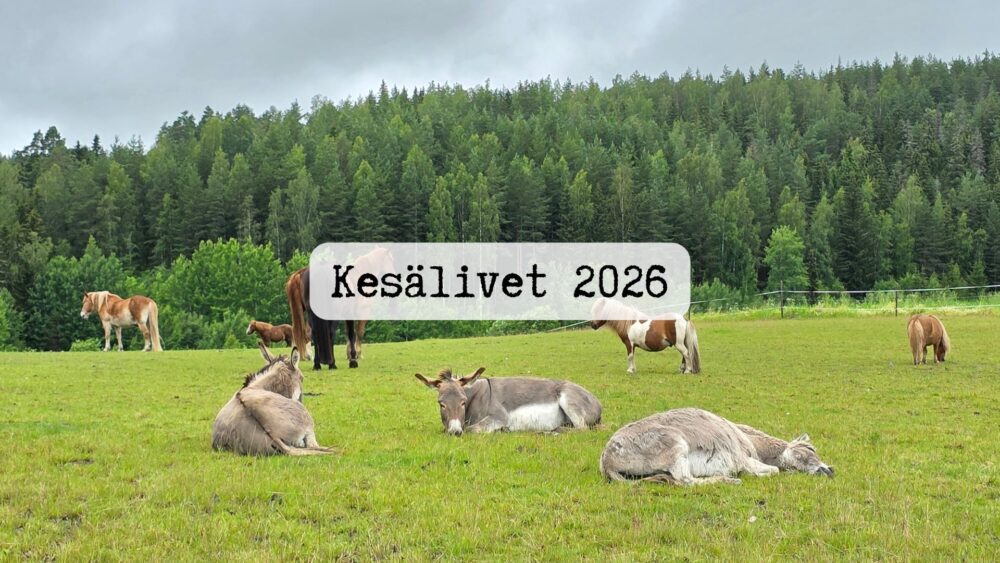 Featured image for “Kesälive 3.6.”