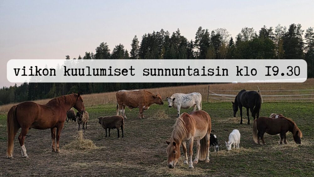 Featured image for “Syyslive 11.10. klo 19.30”