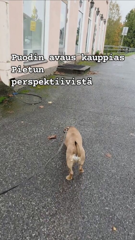 Featured image for “Puodin avaus”